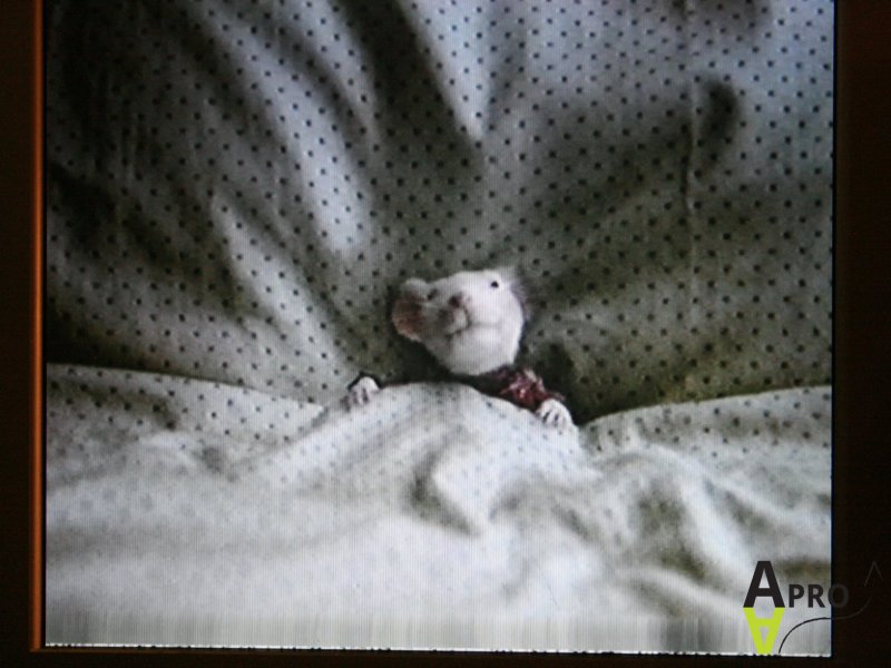 AAPRO computer parts laptop parts retro computing